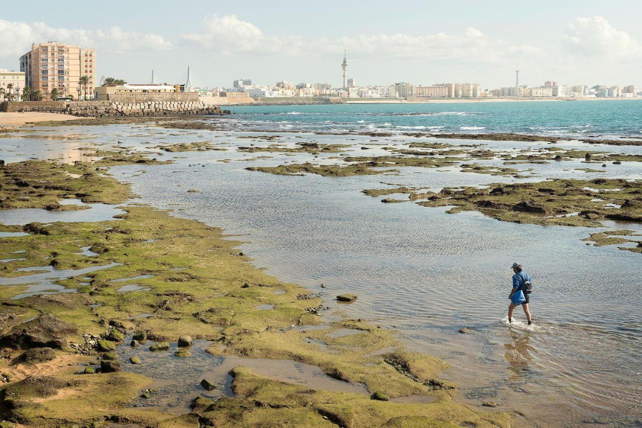Atico En El Centro Con Terraza Lägenhet Cádiz Exteriör bild